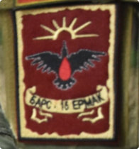 Credit: VKontakte @atamanovko; BARS-15 patch